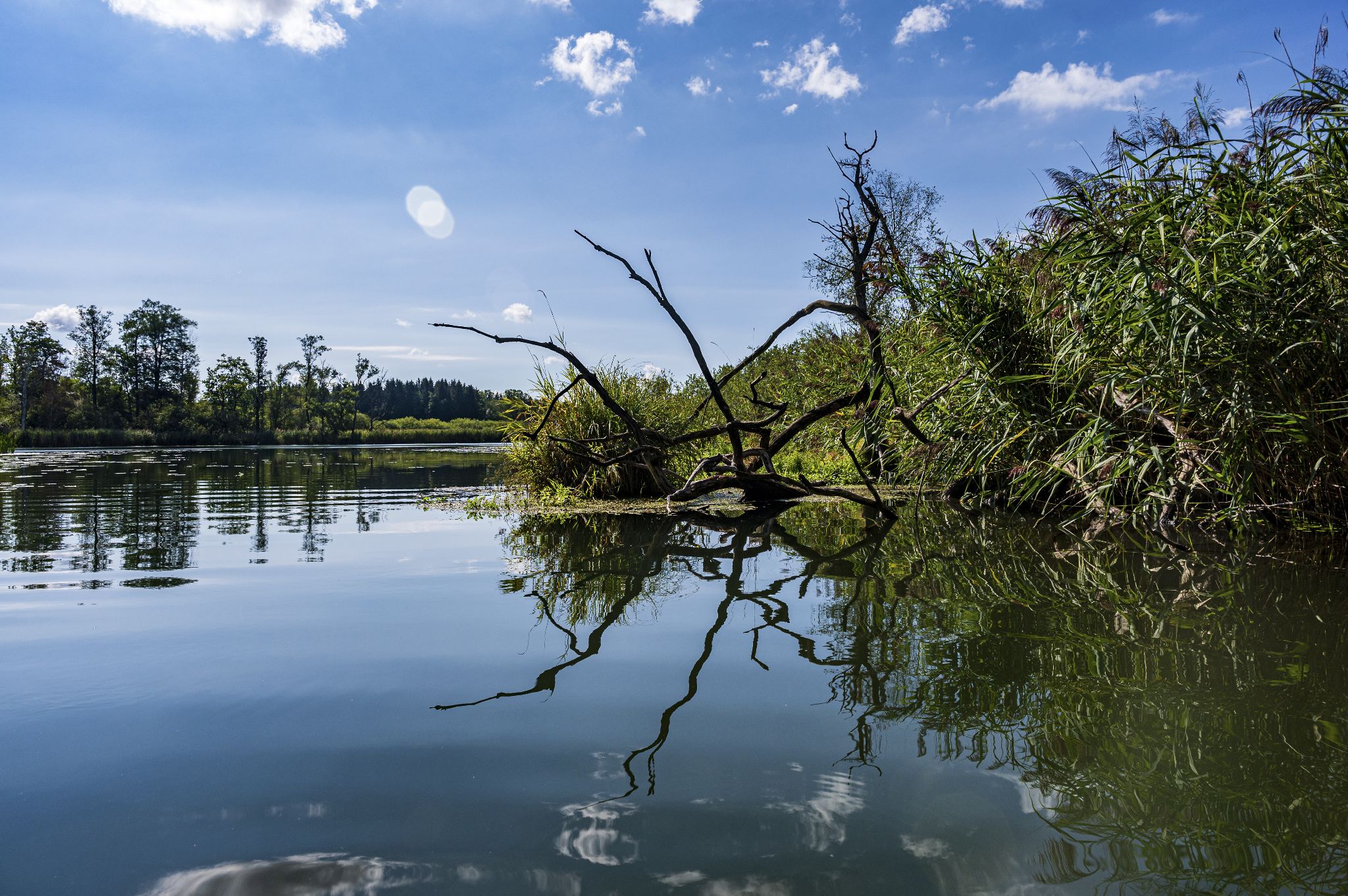Kajaktour Leutstettner Moos 21.08.2022